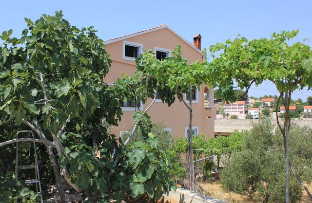 Apartamento-estudio con una terraza Sali, Dugi otok (AS-8121-a)