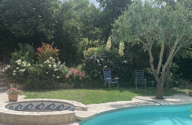 Studio garden swimming pool