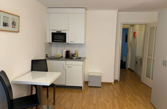 Studio in the heart of Zurich (Crown 17)