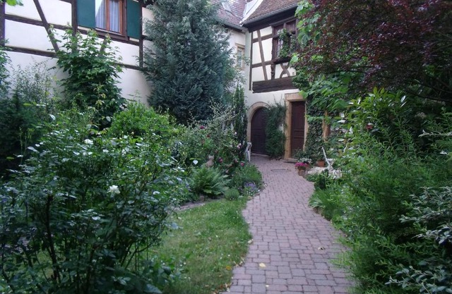 Studio La Grenouillère