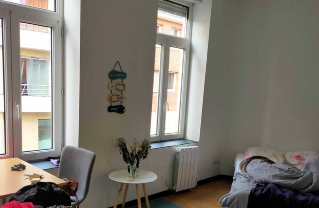 Studio Lumineux et Confortable Lille Moulins