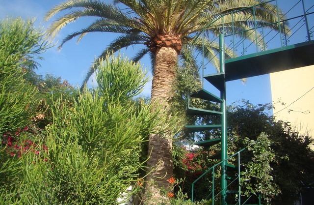 Studio Marcel, cómodo y económico, Tenerife