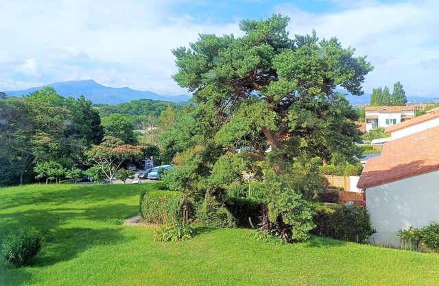 Studio Saint-Jean-de-Luz, studio flat, 3 persons