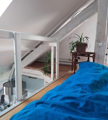 Studio sous les toits et mezzanine - Vincennes