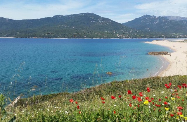 Studio T1 bis vue mer Propriano