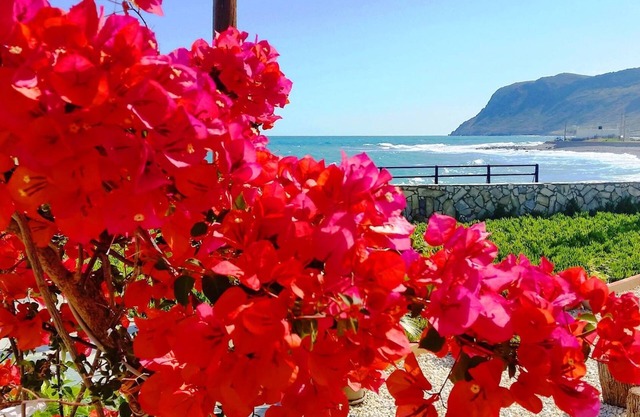 Estudio con vistas al mar en un hermoso jardín!