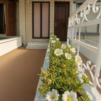 StudioAretiCom Anogio with private Veranda In Front Of The Lovely Sea For Rent in Nea Plagia Chalkidiki Greece PlagiaStudiosEu