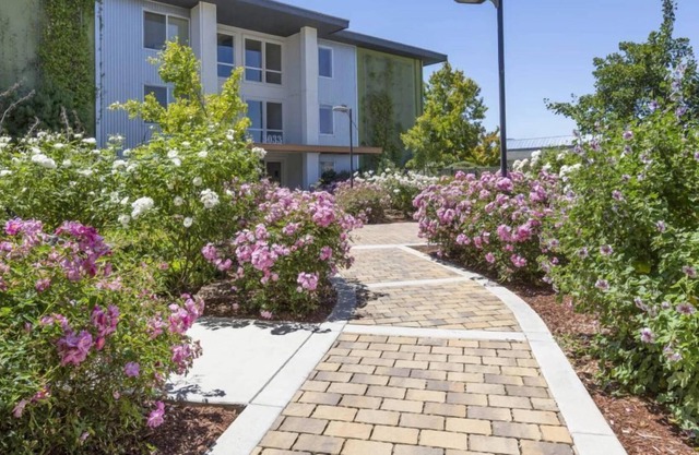 Stunning 2BR Condo w Gym & Pool in San Mateo