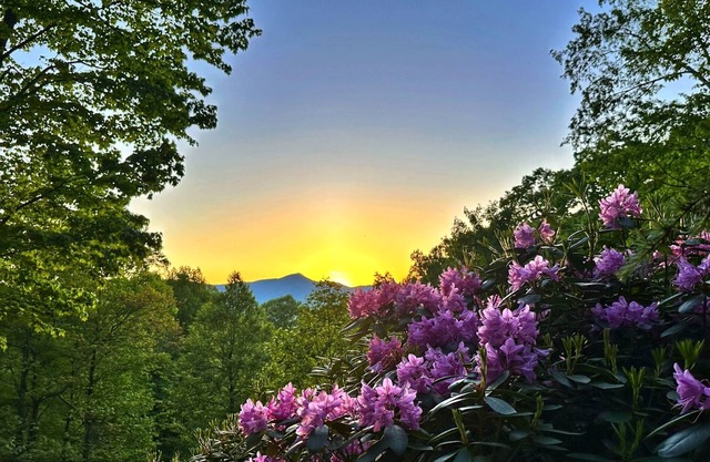 Stunning 3-bedroom private mountain retreat nestled in the Smoky Mountains