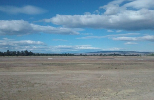 Impresionante cabaña del aeropuerto de la polilla tigre