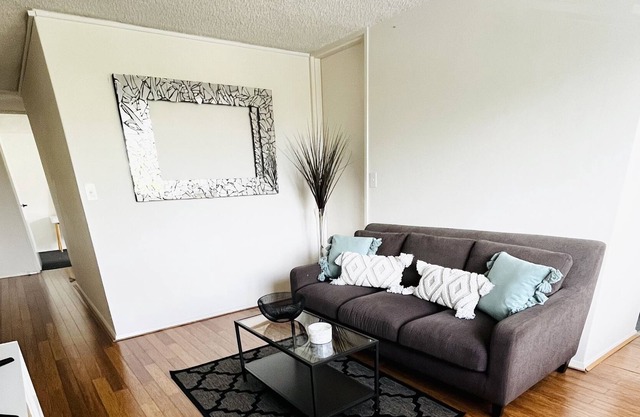 Stunning apartment within minutes of everything