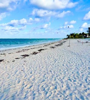 Stunning beachfront apartment, Seaview, 20 metres from beach