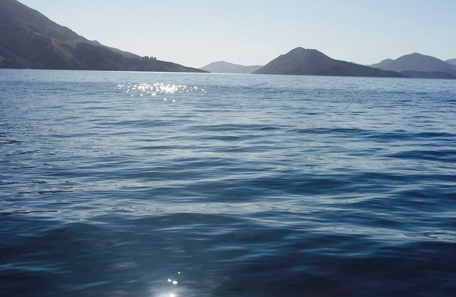 Stunning executive holiday home in tranquil Duncan bay
