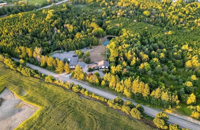 Stunning Farmhouse In Pickering!