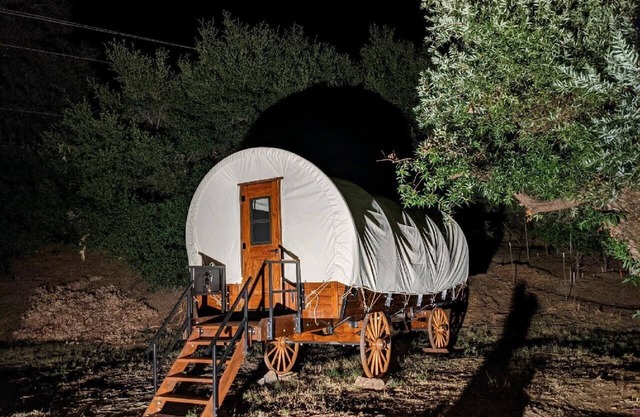 Stunning Hand-Crafted Authentic Covered Wagon