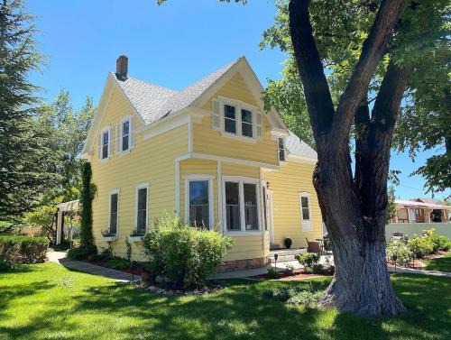 Stunning Historic Home Lots of Space In Town