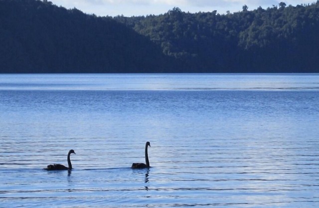 Impresionante retiro de Lake House