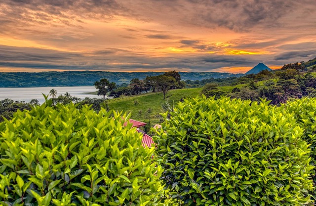 Stunning Lake, Volcano, Mountainside Vistas, with chef's kitchen