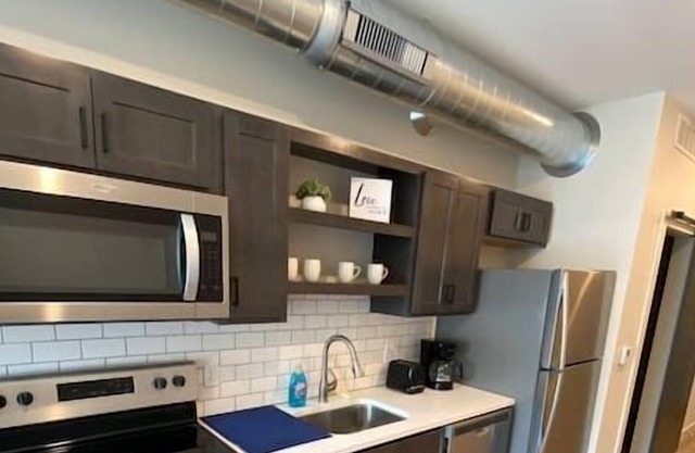 Stunning Luxury 1 bd 1 bath Apt Downtown QC