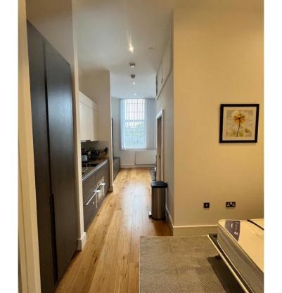 Stunning modern artsy 1-bedroom flat centre LDN