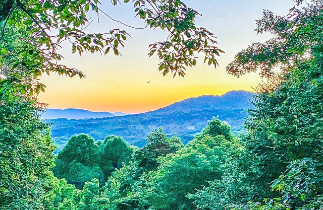 Stunning Mountain Sunset Cabin, Dog Friendly, Fire Pit, Game Room