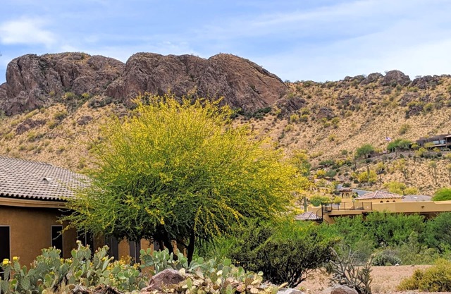 Impresionantes vistas a la montaña - Amueblado Gold Canyon Home