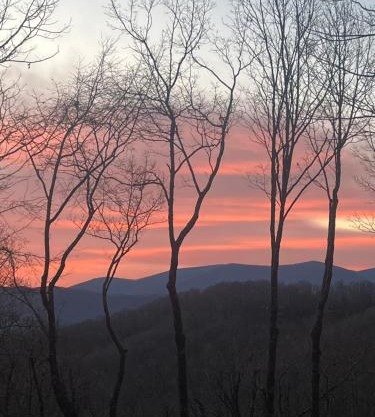 Stunning Mountain View Cabin-Pet-Friendly-Quiet-Private-15 Min from town
