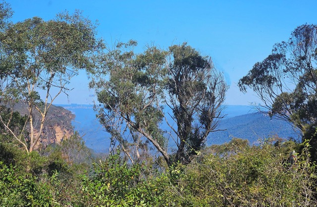 STUNNING VIEWS, fireplace, spa bath, 5 bedrooms, early check-in & late checkout.