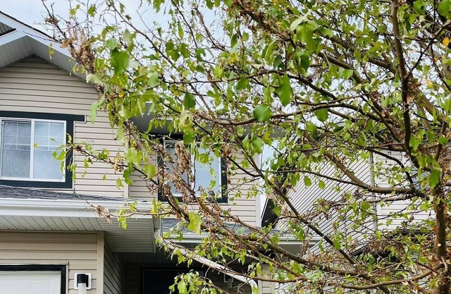 Stylish home in Oxford neighborhood - long term rental deals - inquire