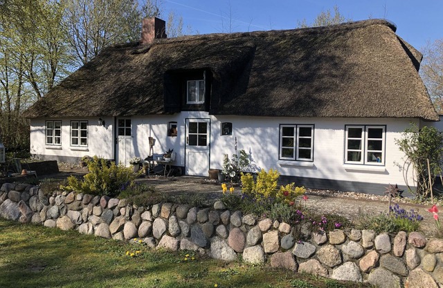 Stylish living under thatch