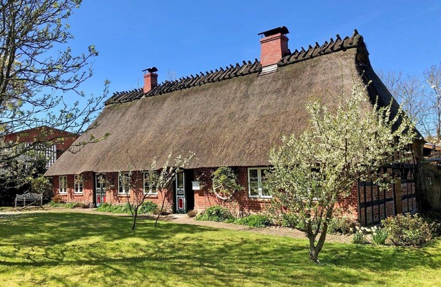 Elegante cabaña de paja de 4 * con hermoso jardín y dos terrazas para familias