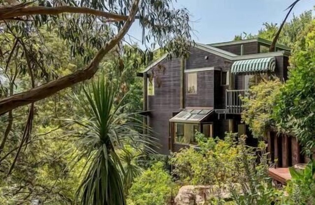 Stylish Unique Treehouse Nestled Amongst Paradise