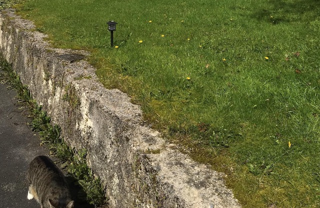Conversión de granero sustancial de 3 dormitorios cerca de Brecon Beacons con Wifi gratuito