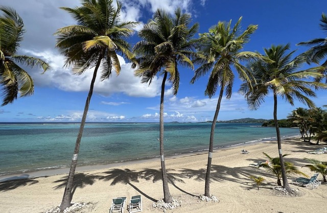 Sugar Beach Condo - palmeras, una hermosa vista al mar