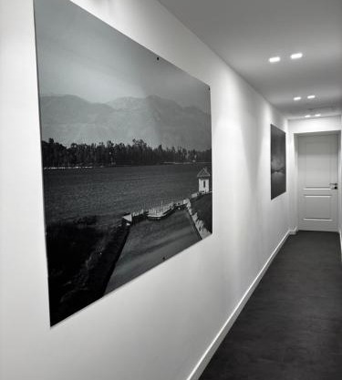Suite and loft