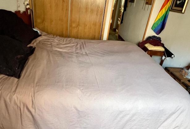 Suite Manzanares