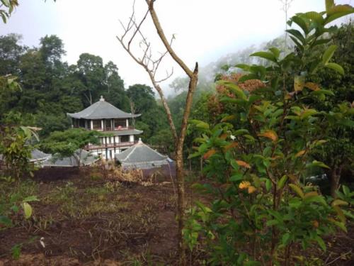 Sukhavati Resort