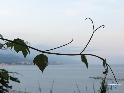 Sul Mare B&B