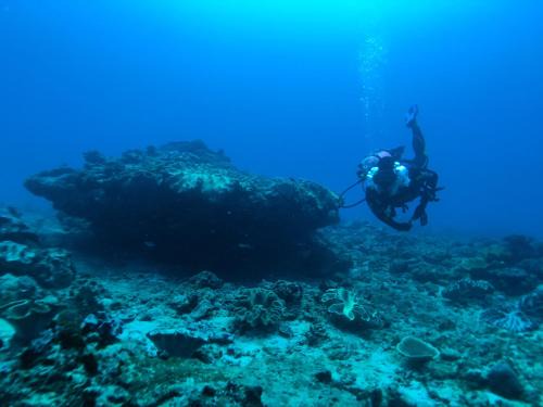Sumba Adventure Resort