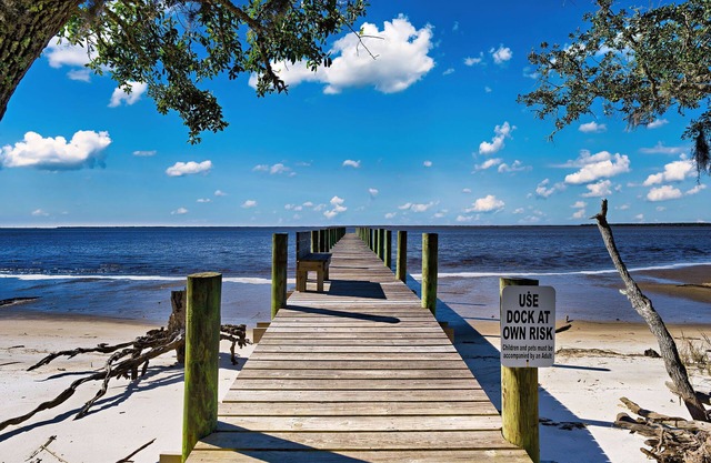 Summer 2025 Still Available! 2 Private homes! Bayfront w/ dock! 8.74 acres!