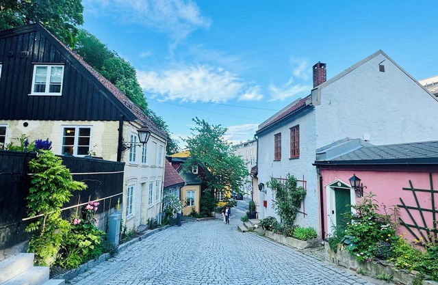 Summer Discount! Clean and Quiet n family- friendly apartment in Oslo city