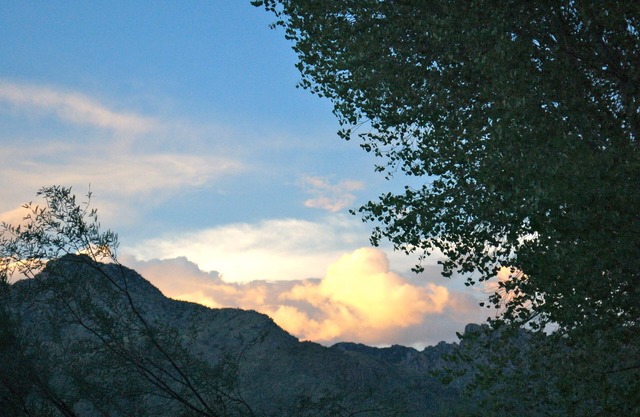 Desert Oasis en Foothills