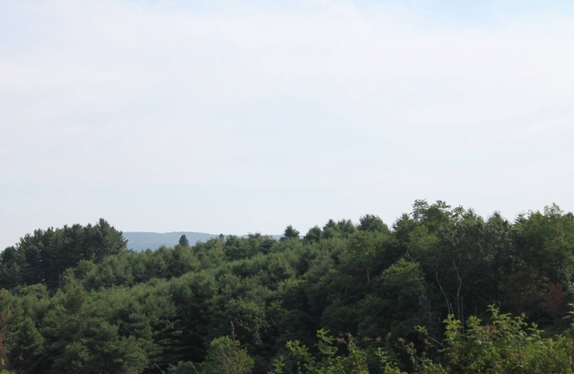 Cerca de ASU, Tweetsie Railroad, Grandfather Mtn y Blu-ridge PKY