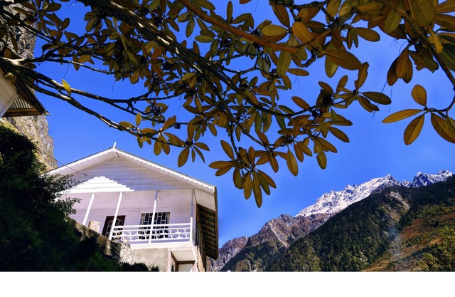 Summit Alpine Resort