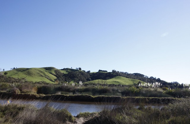 Sun drenched, peaceful views, immaculate modern home.