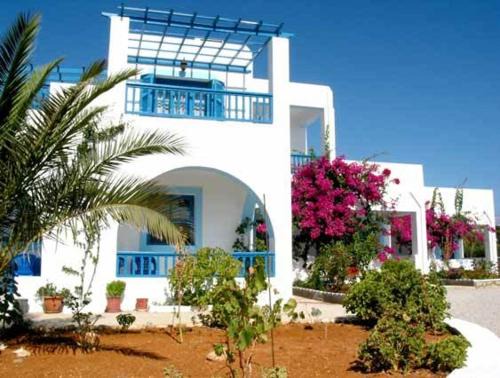 Sunflower studios