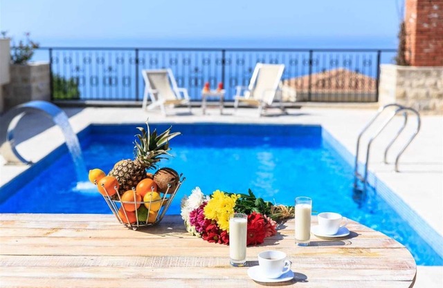 Sunniest Villa Orchid