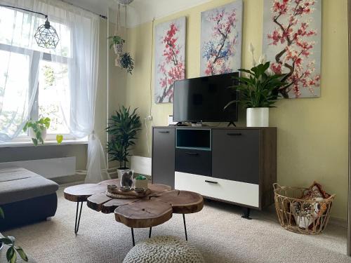 Sunny 1 Br Apt in Center Next to Park