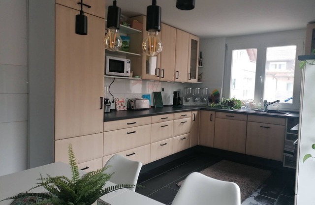 Sunny and large 1 room apartment (60m²) on the outskirts of Denzlingen /15 km from Freiburg