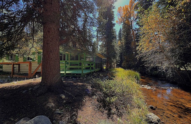 Sunny Cabin at Vallecito Lake on the Creek, Pet Friendly